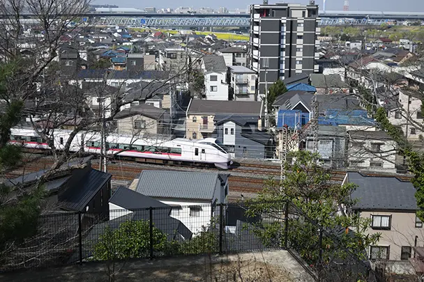 【2025年版】松戸市のおすすめ不動産屋総まとめ~選び方から人気店の特徴まで徹底解説~