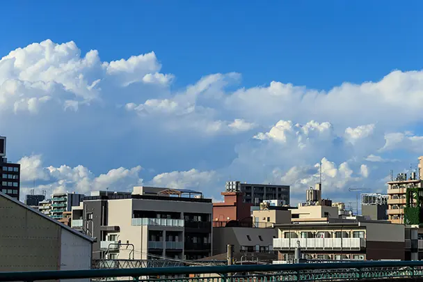 【2025年版】さいたま市緑区でおすすめの不動産屋総まとめ