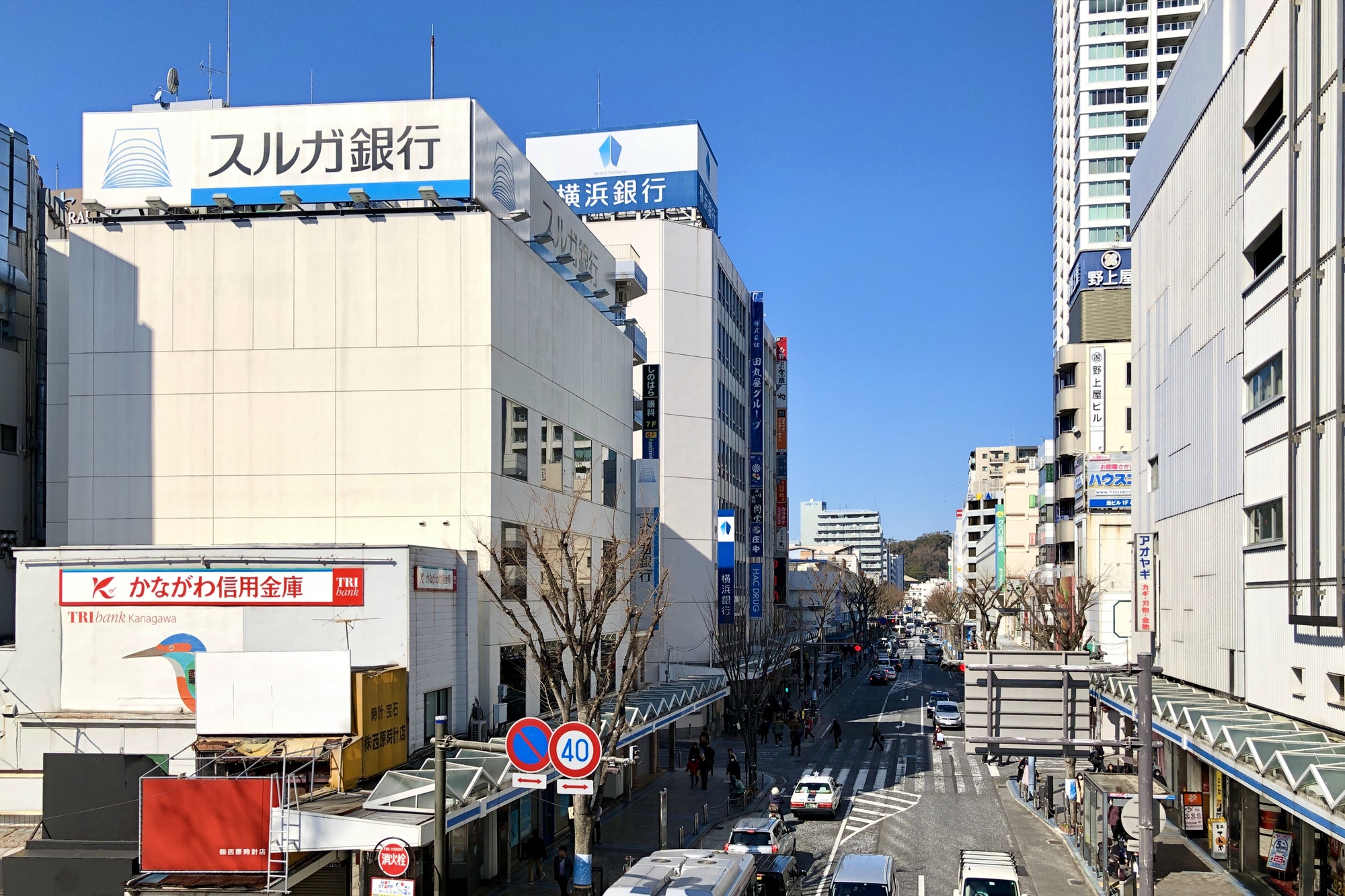 【マリンリゾートが広がる海辺の街】横須賀中央（横須賀市）